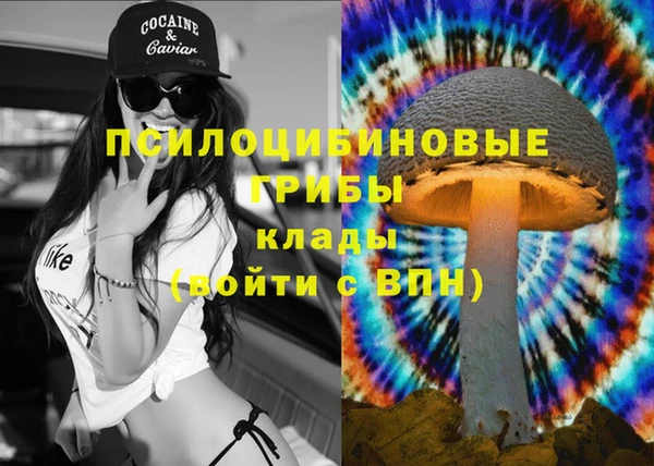 трава Балахна