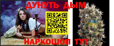 ешки Кингисепп