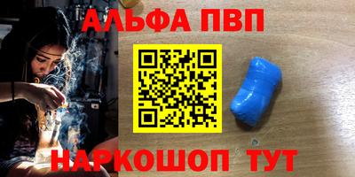 ешки Кингисепп