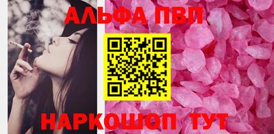 ешки Кингисепп