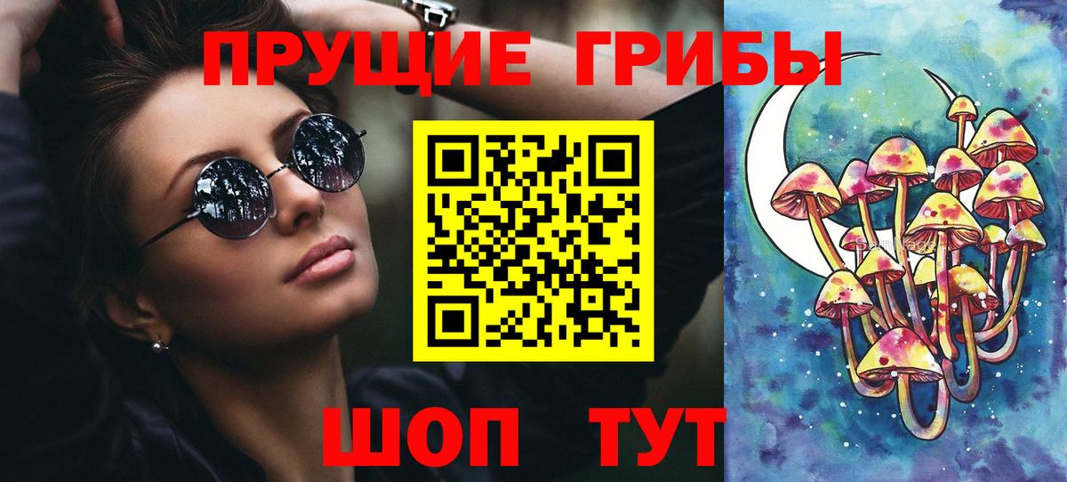 Псилоцибиновые грибы Psilocybe Кунгур