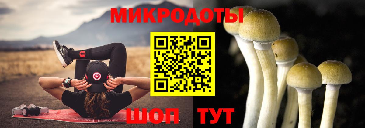 Галлюциногенные грибы Psilocybe  Вход с VPN  Кунгур 